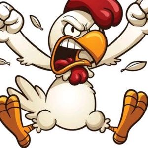 Meet your Posher, Matt